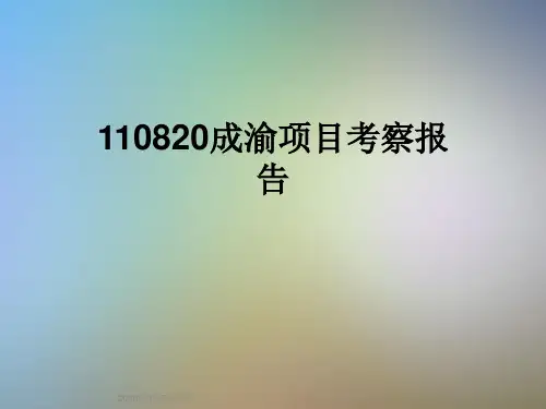 110820成渝项目考察报告
