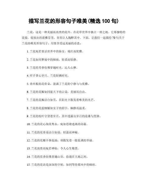 描写兰花的形容句子唯美(精选100句)
