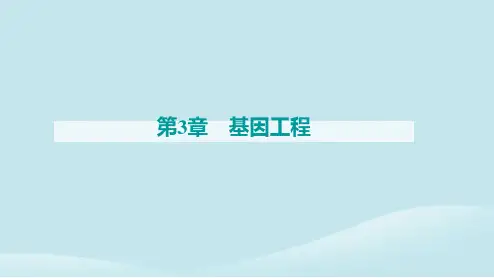 新教材2023高中生物第3章基因工程第1节重组DNA技术的基本工具课件新人教版选择性必修3