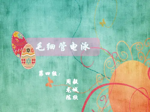 毛细管电泳.