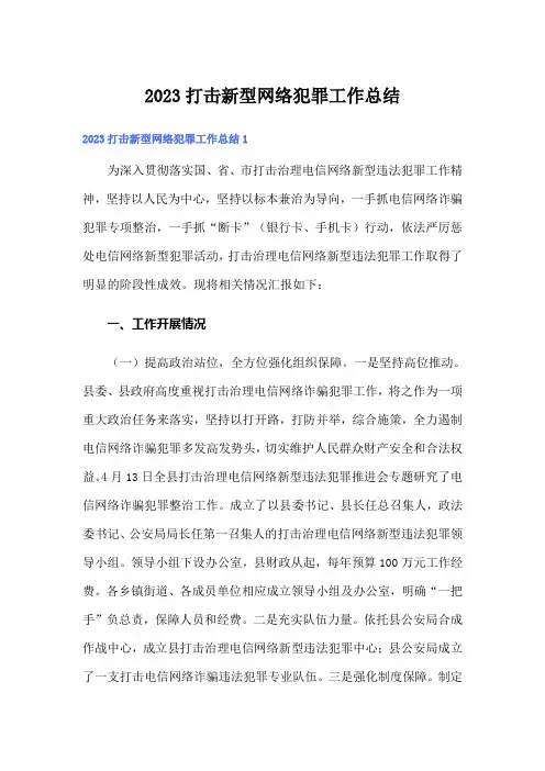 2023打击新型网络犯罪工作总结