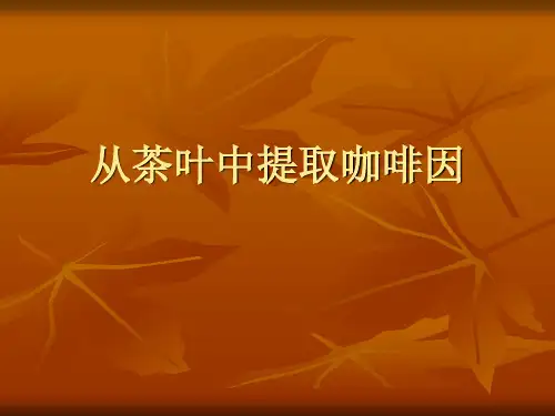 从茶叶中提取咖啡因报告