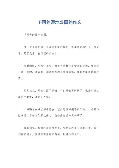 下雨的湿地公园的作文