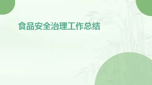 食品安全治理工作总结PPT