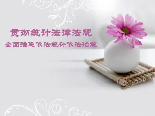 统计法律法规讲座