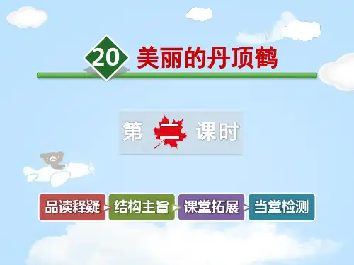 《美丽的丹顶鹤》PPT教学课件