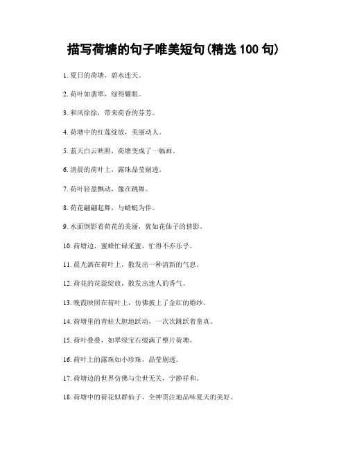描写荷塘的句子唯美短句(精选100句)