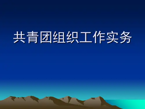 共青团组织工作实务 ppt课件