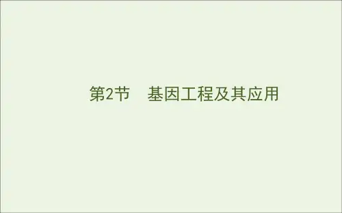 2020版高中生物第六章从杂交育种到基因工程2基因工程及其应用课件新人教版必修2