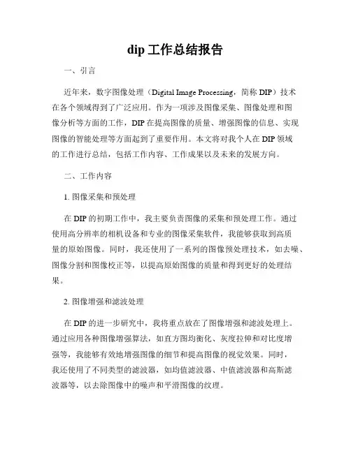 dip工作总结报告