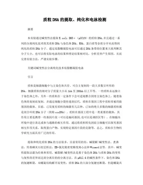 质粒DNA的提取、纯化和电泳检测