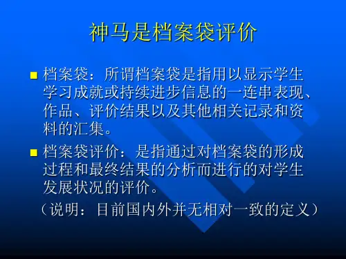 档案袋评价
