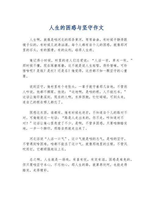 人生的困惑与坚守作文