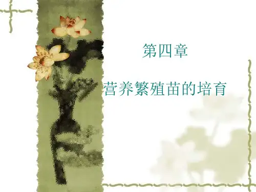 8 林木种苗学 -营养繁殖苗的培育
