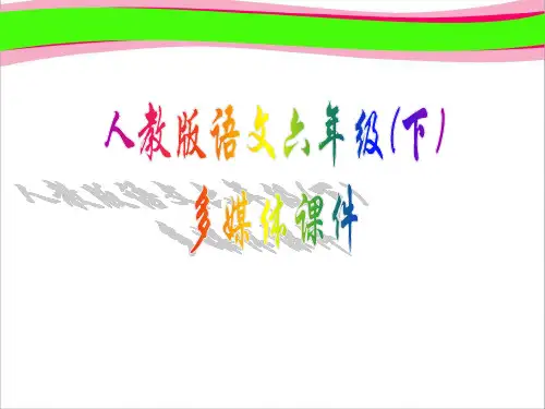 汤姆索亚历险记  公开课一等奖 课件