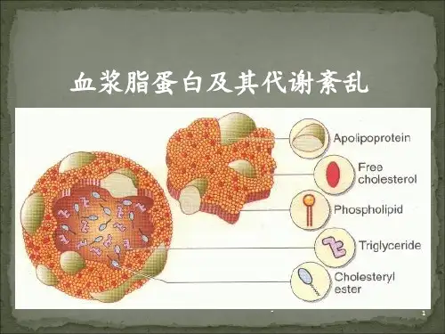 血浆脂蛋白及其代谢紊乱PPT课件