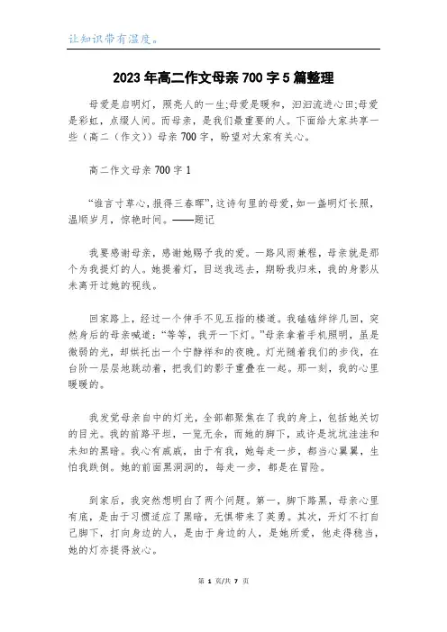 2023年高二作文母亲700字5篇整理