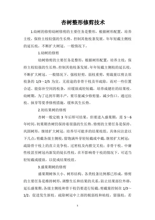 杏树整形修剪技术