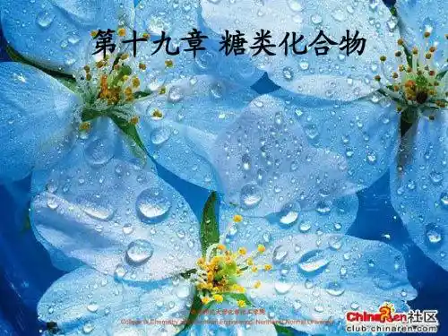 第十九章糖类化合物