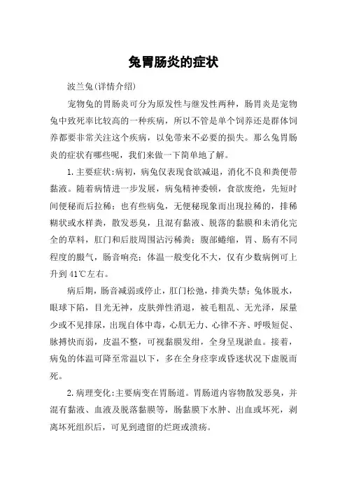 兔胃肠炎的症状