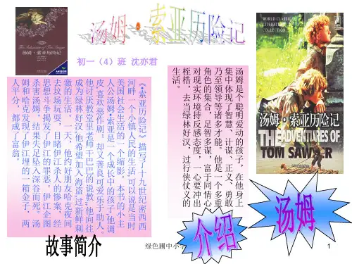 小学六年级下学期语文第17课汤姆·索亚历险记ppt执教课件