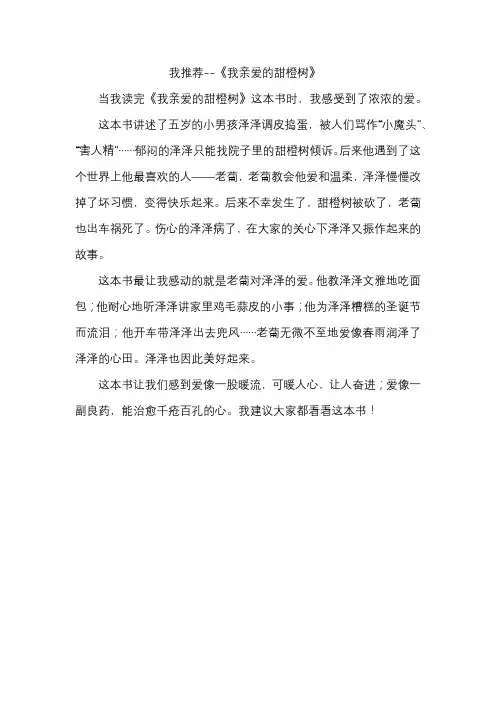 我亲爱的甜橙树   推荐