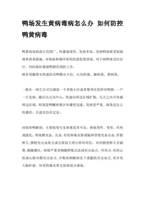 鸭场发生黄病毒病怎么办 如何防控鸭黄病毒