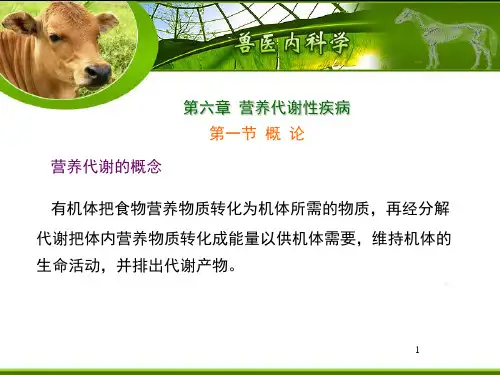 营养代谢PPT课件