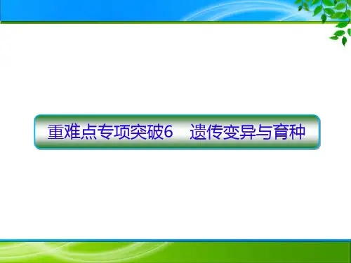 新人教版  必修2 遗传变异与育种 课件 (共56张 )