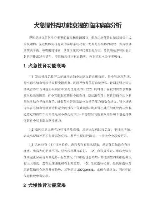 犬急慢性肾功能衰竭的临床病案分析