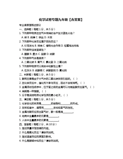 化学试卷专题九年级【含答案】