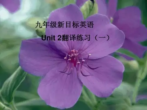 u2翻译答案-(www.)(2019年8月整理)