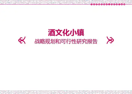 酒文化小镇项目战略规划和可行性研究报告