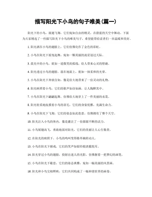 描写阳光下小鸟的句子唯美(精选合集2篇)