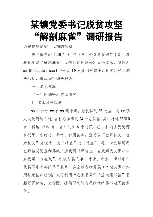 某镇党委书记脱贫攻坚“解剖麻雀”调研报告