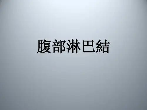 腹部淋巴结