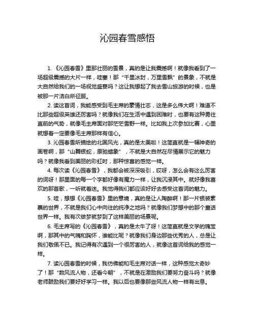 沁园春雪感悟