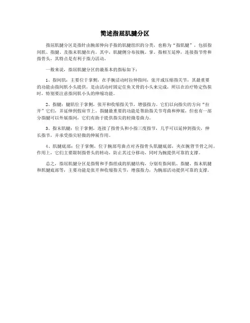 简述指屈肌腱分区