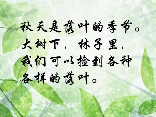 小学科学三年级上册5植物的叶