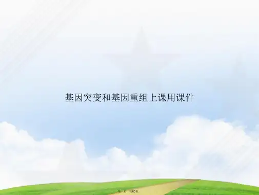 基因突变和基因重组上课用讲课文档
