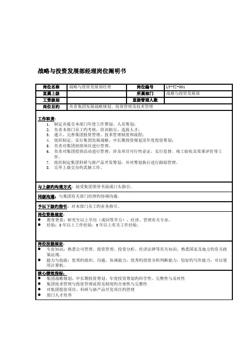 战略与投资发展部经理岗位专项说明书