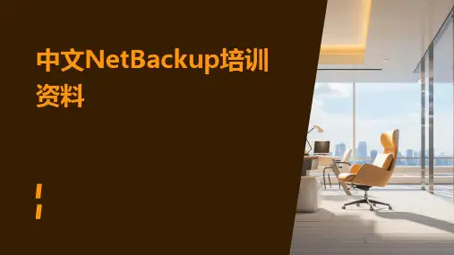 中文NetBackup培训资料