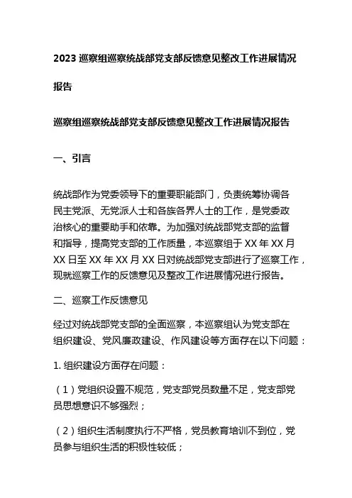 2023巡察组巡察统战部党支部反馈意见整改工作进展情况报告
