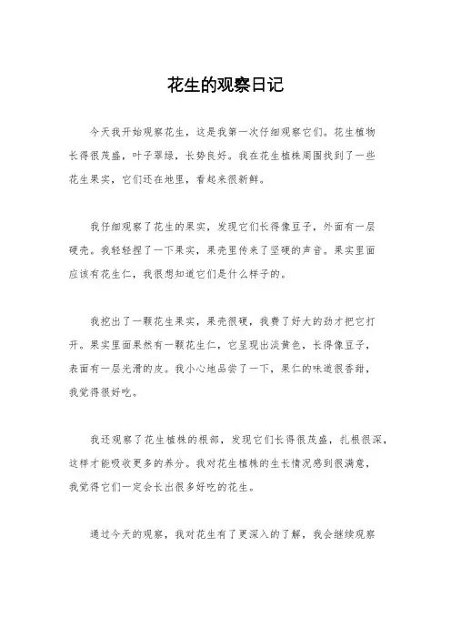 花生的观察日记