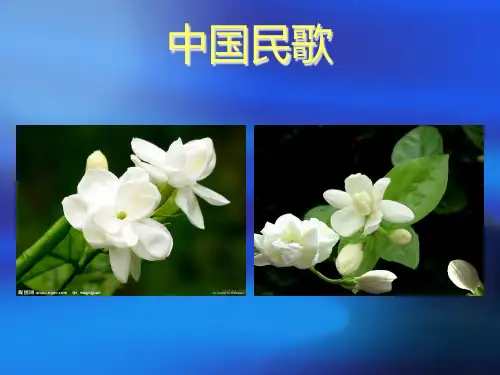 01中国民歌(精简)精品PPT课件