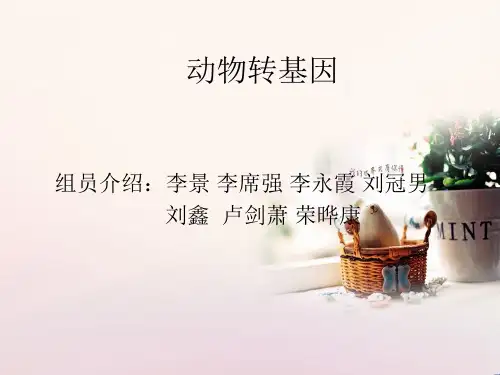 动物转基因技术应用与前景