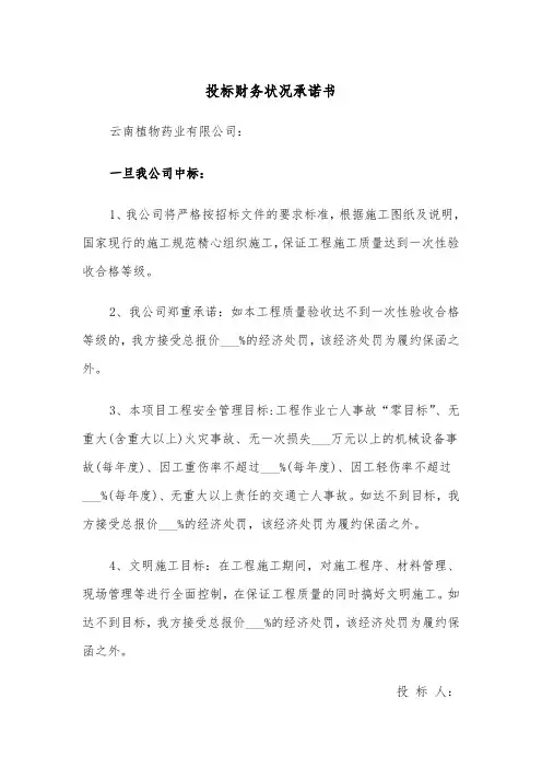 投标财务状况承诺书（2篇）