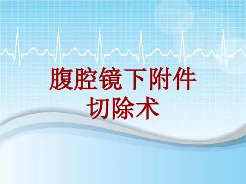 手术讲解模板：腹腔镜下附件切除术