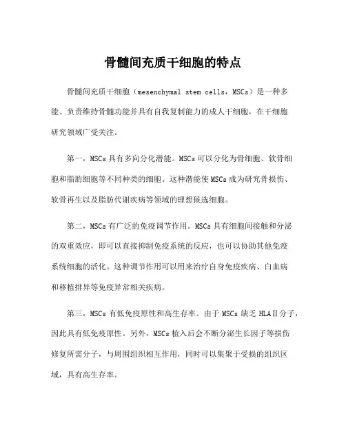 骨髓间充质干细胞的特点