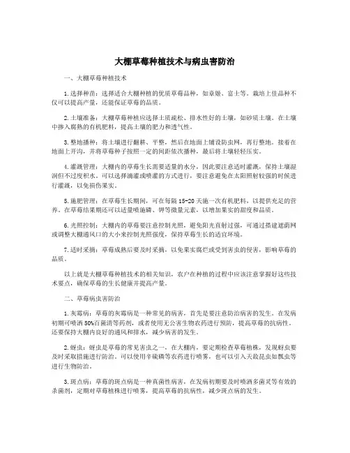 大棚草莓种植技术与病虫害防治